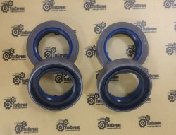 126403_seal_carraro4