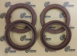 133566_seal_carraro9
