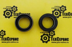 641734_seal_carraro2